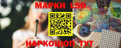 apvp Моздок