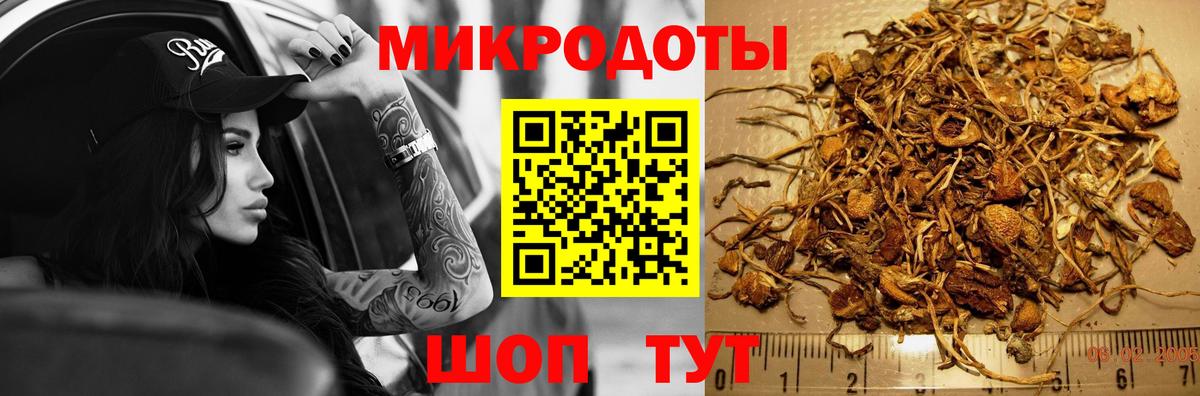 Псилоцибиновые грибы мухоморы  Вход с VPN  Чебаркуль 